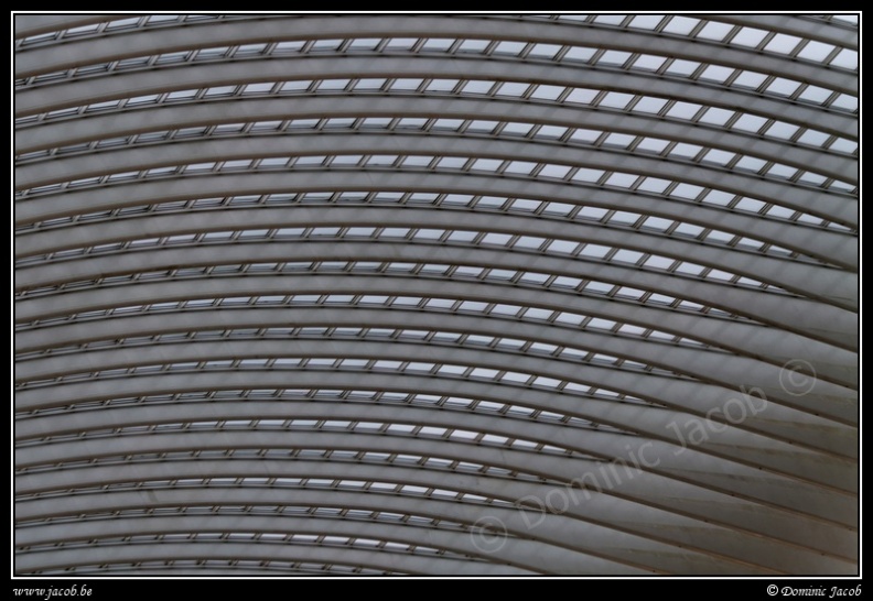 033-Guillemins.jpg