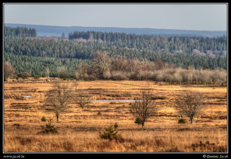 006-Hautes Fagnes.jpg