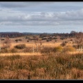 007j-Hautes Fagnes