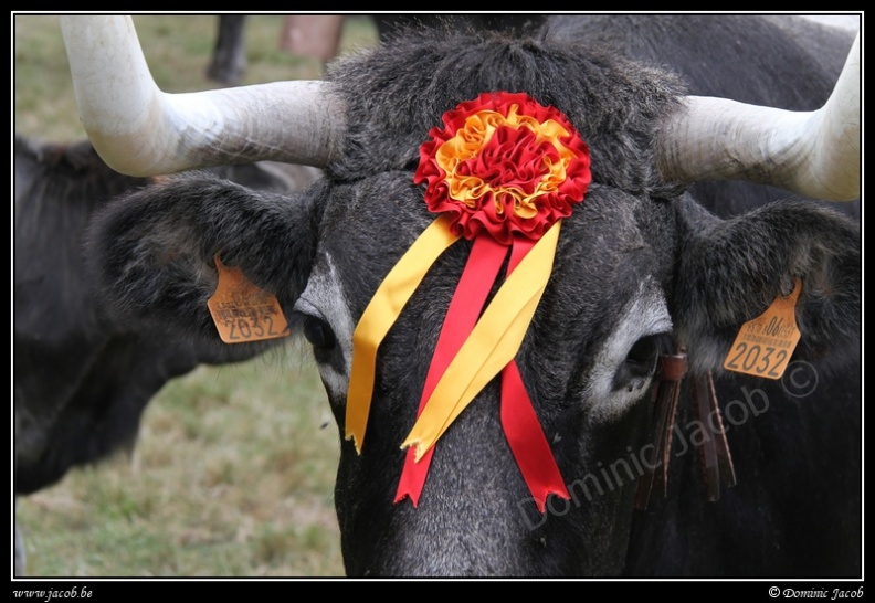 005-Puentenansa Fiestas de San Miguel.jpg