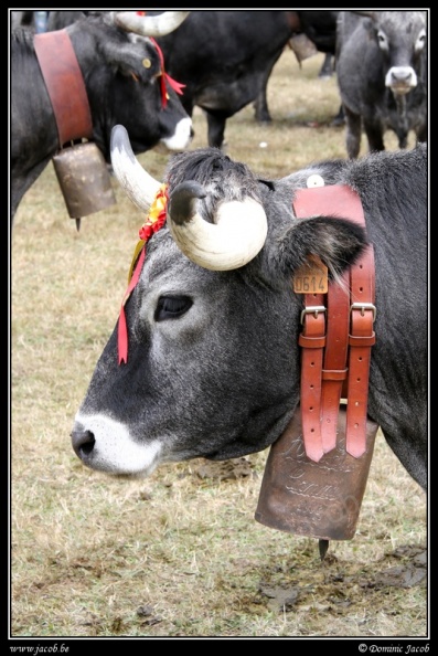 009-Puentenansa Fiestas de San Miguel.jpg