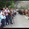 015-Puentenansa Fiestas de San Miguel