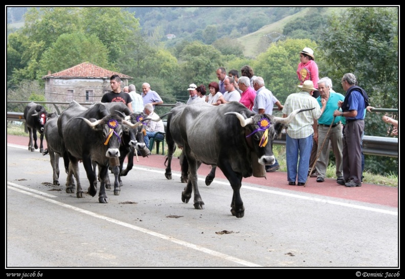 018-Puentenansa Fiestas de San Miguel.jpg