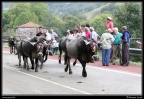 018-Puentenansa Fiestas de San Miguel