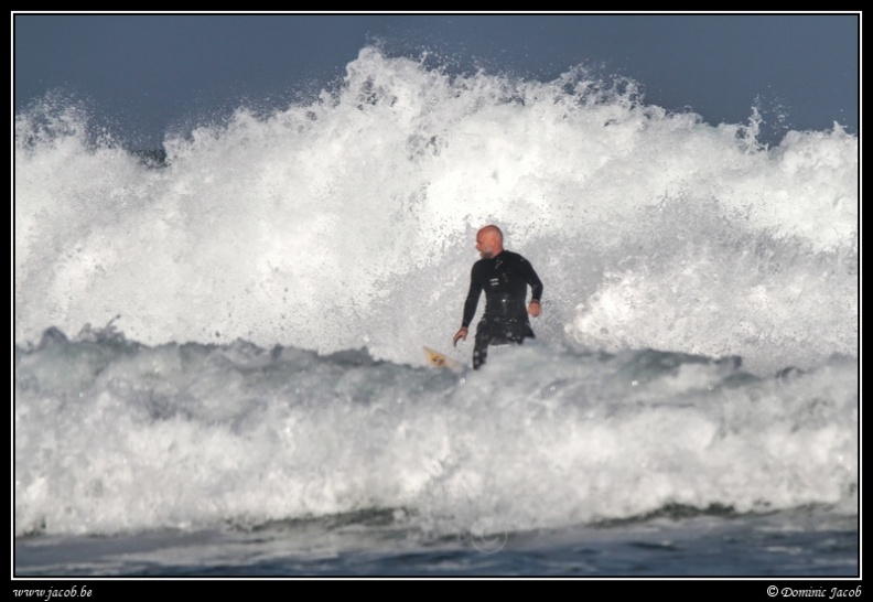 011-Surf.jpg