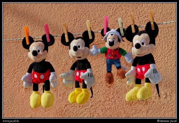 0842-Mickeys
