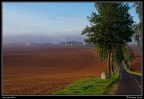 0850-Paysage lorrain