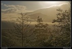 0860-Paysage Pyrénéen