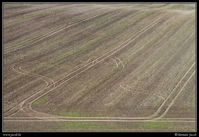 0963-Lignes.jpg