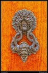 0260i-Picchiotto
