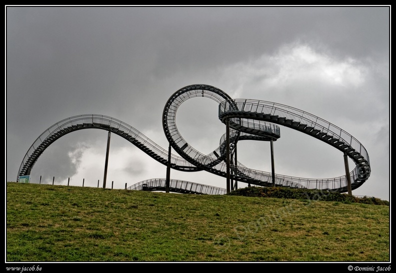 001-Tiger&amp;Turtle