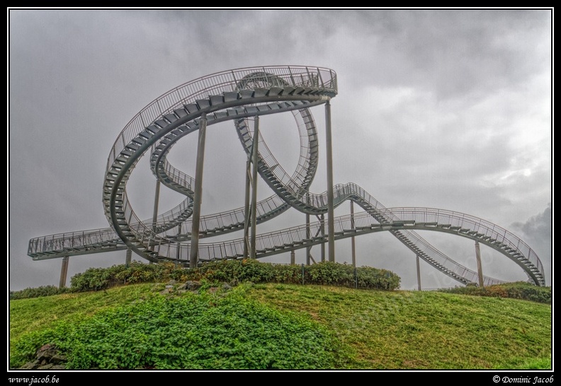 002-Tiger&Turtle.jpg