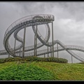 002-Tiger&amp;Turtle