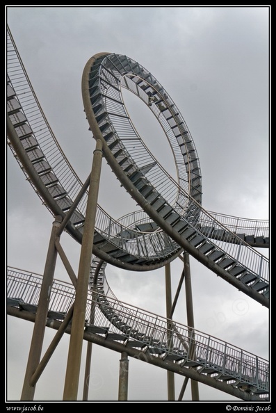 004-Tiger&Turtle.jpg