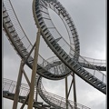 004-Tiger&amp;Turtle