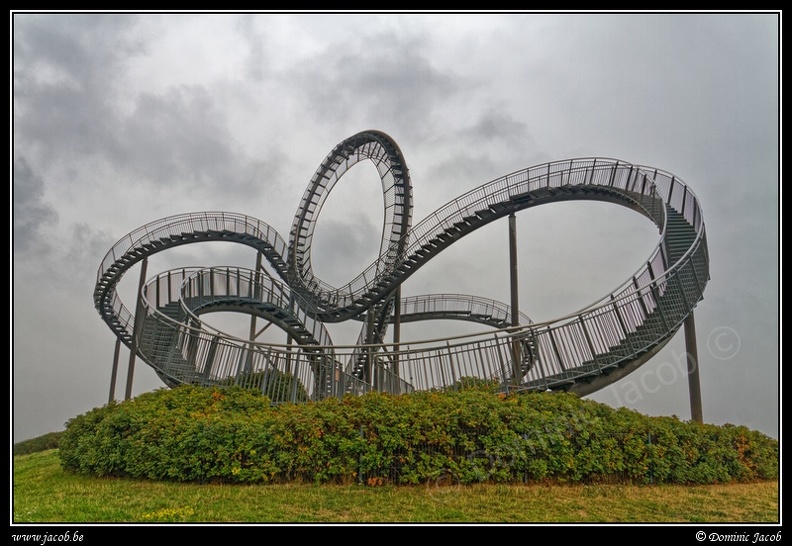 003-Tiger&amp;Turtle