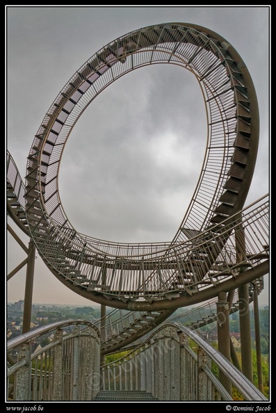 005-Tiger&Turtle.jpg