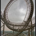 005-Tiger&Turtle