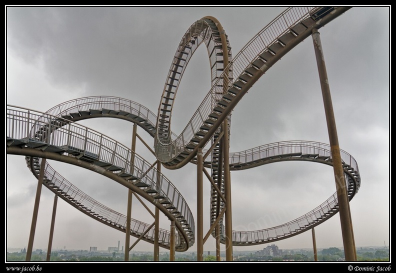 006-Tiger&amp;Turtle