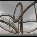 006-Tiger&amp;Turtle