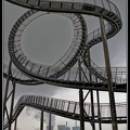 007-Tiger&Turtle