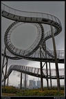 007-Tiger&amp;Turtle