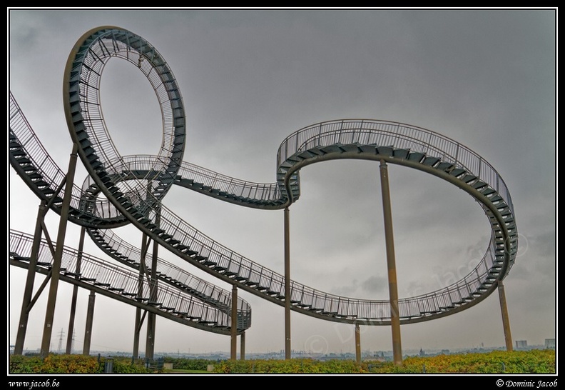 010-Tiger&Turtle.jpg