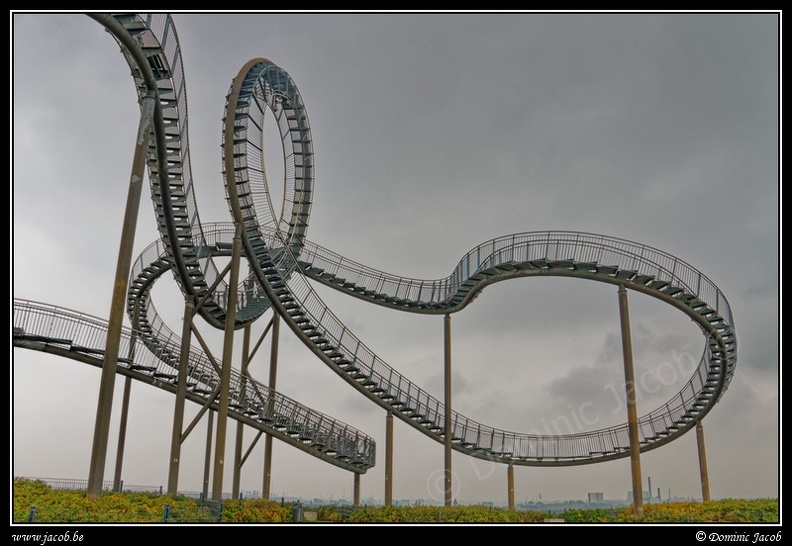 012-Tiger&Turtle.jpg