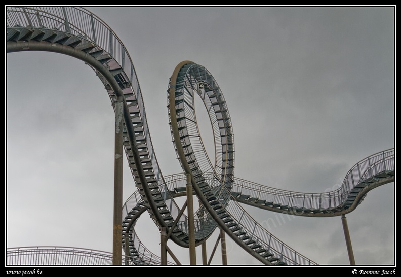 013-Tiger&Turtle.jpg