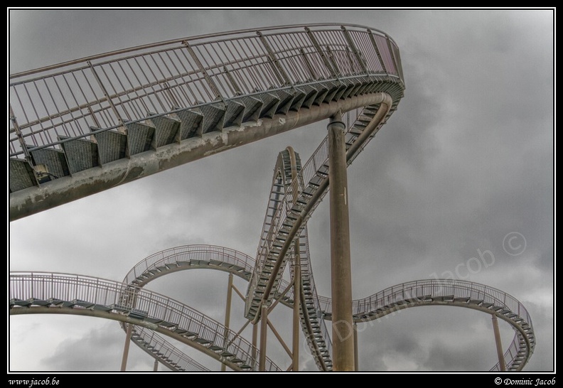 014-Tiger&Turtle.jpg