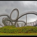 015-Tiger&amp;Turtle