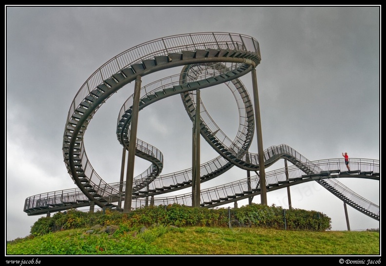 017-Tiger&Turtle.jpg