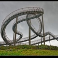 017-Tiger&amp;Turtle