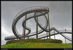 017-Tiger&amp;Turtle