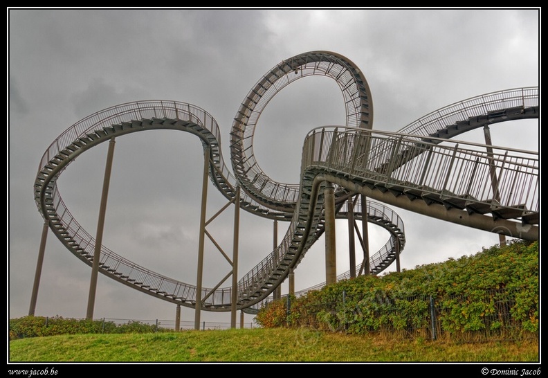 016-Tiger&Turtle.jpg