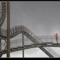 018-Tiger&Turtle