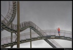 018-Tiger&amp;Turtle