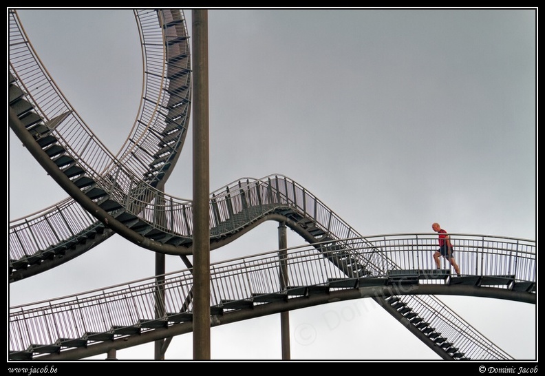 019-Tiger&amp;Turtle