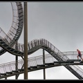 019-Tiger&Turtle