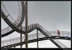 019-Tiger&amp;Turtle