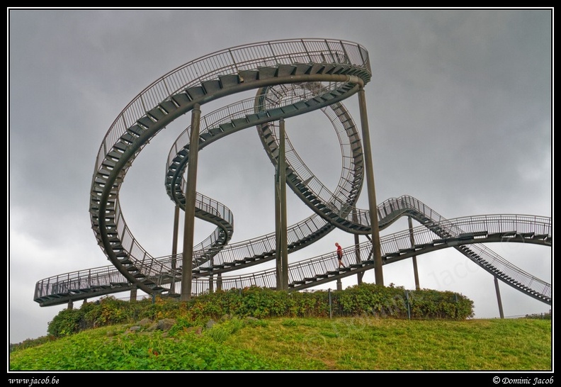 020-Tiger&Turtle.jpg