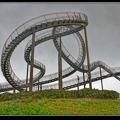 020-Tiger&amp;Turtle