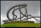 Tiger & Turtle