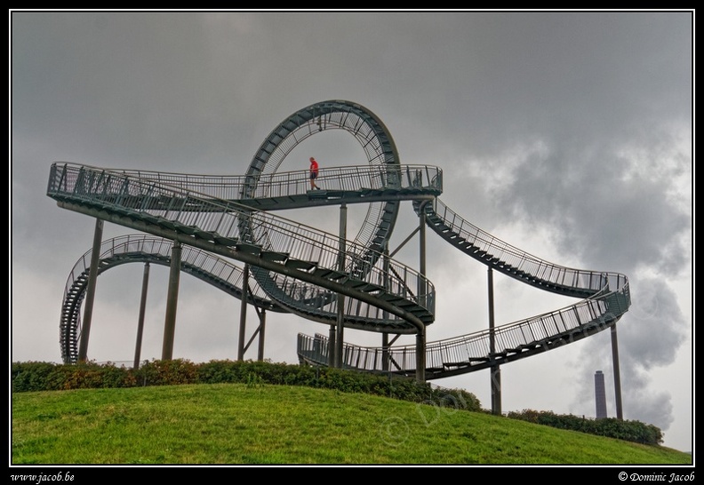 021-Tiger&Turtle.jpg