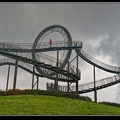 021-Tiger&amp;Turtle