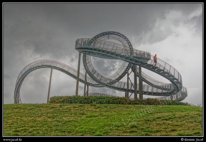 022-Tiger&Turtle.jpg