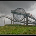 022-Tiger&Turtle