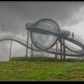 022-Tiger&Turtle