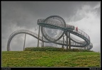 022-Tiger&amp;Turtle