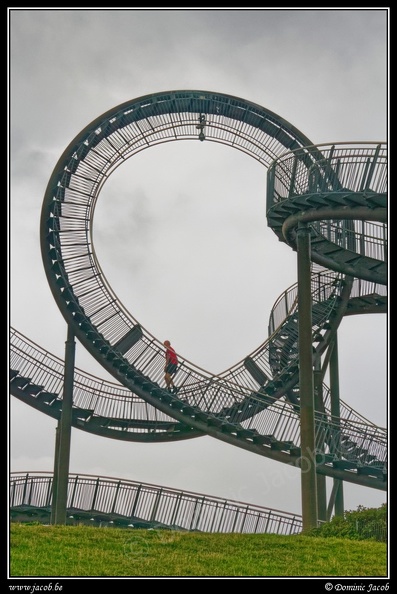 023-Tiger&Turtle.jpg